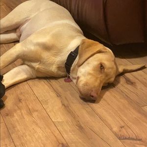 Meet your Posher, Jill